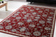 Melody Red Rug, 5'3"x7'7"