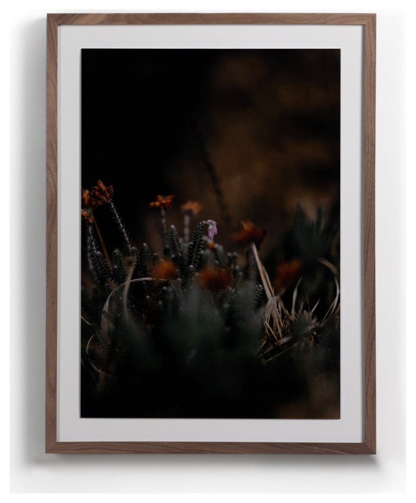 First Bloom By Annie Spratt
