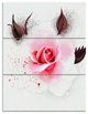 Watercolor Rose with Brown Buds, Floral Triptych Canvas Print, 28x36, 3 Panels