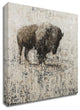 Lone Buffalo by Matt Flint, Print on Canvas, Ready to Hang