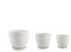 Mtwh Pharaoh Ceramic Pot On Saucer, Set of 3