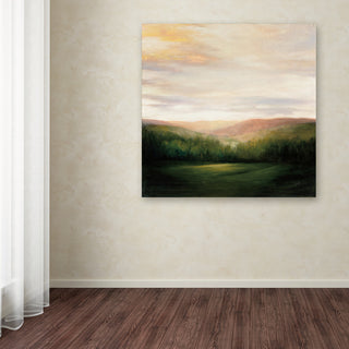 Julia Purinton 'Celebration' Canvas Art, 35x35
