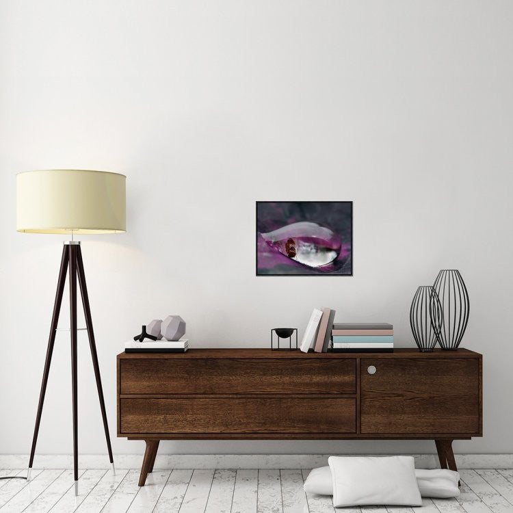 "Caught In A Droplet" Framed Canvas Giclee by Jimmy Hoffman, 23x18"