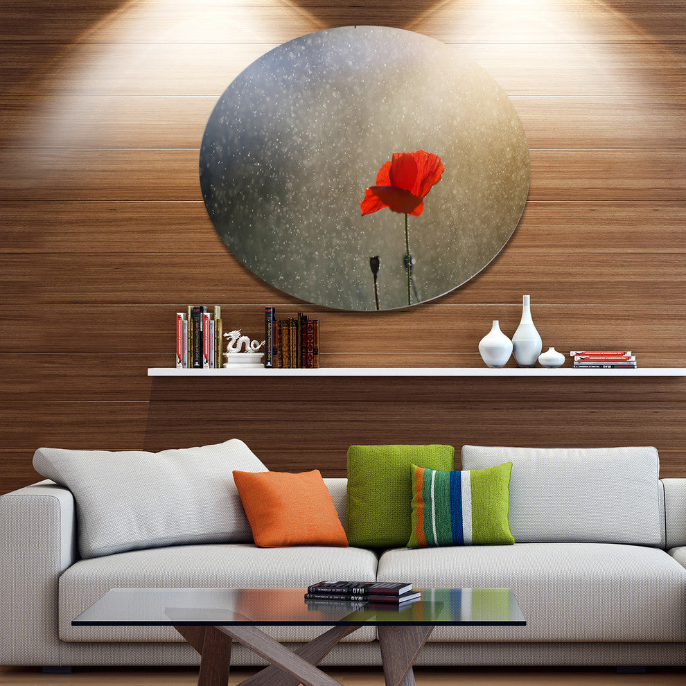 Lone Red Puppy Flower Under Lights, Flowers Round Metal Wall Art, 23"
