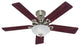 Hunter Fan Co. The Astoria Ceiling Fan with Light