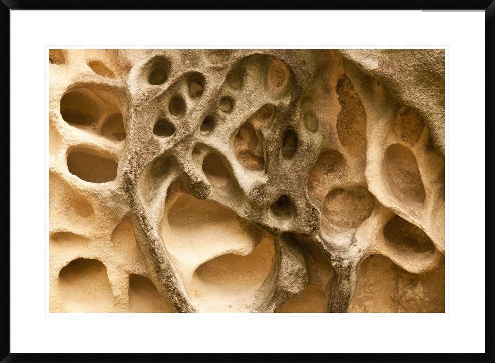 Cavernous Weathering In Sandstone Rock, Sydney, Australia, 36"x26"