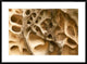 Cavernous Weathering In Sandstone Rock, Sydney, Australia, 36"x26"