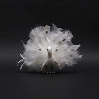 Regal Peacock Bird With Open Tail Feathers Christmas Decoration, White, 9"