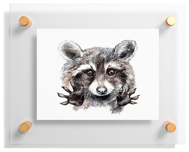 Anna Shell Magic Raccoon Floating Acrylic Print