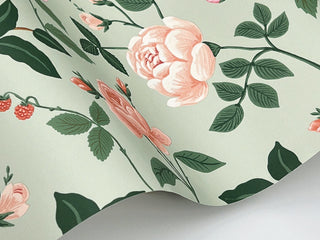 Roses Mint Wallpaper