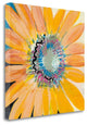 "Sunshine Flower IV" By Leslie Bernsen, Giclee Print on Gallery Wrap Canvas
