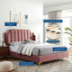 Daniella Performance Velvet Queen Platform Bed Dusty Rose