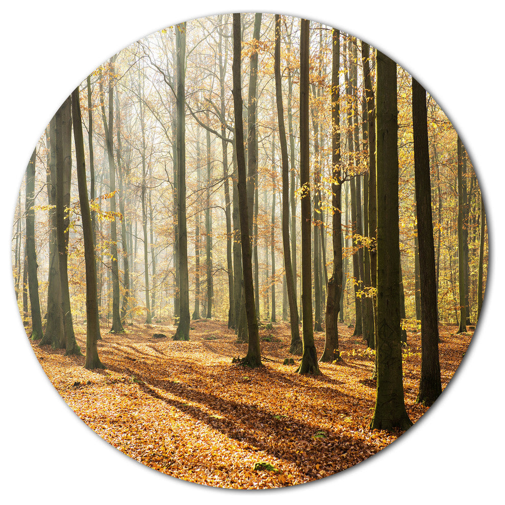 Bright Autumn Day In Thick Forest, Forest Disc Metal Artwork, 23"