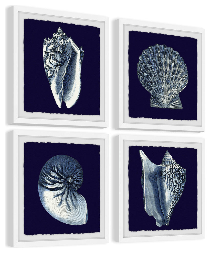 "All About Shells Quadriptych" Framed Painting Prints, 36"x36", 4-Piece Set