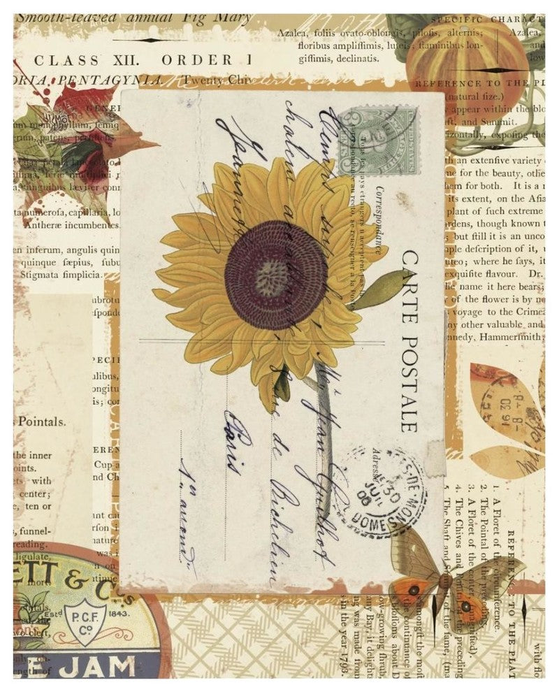 "Falling for Fall II" Digital Paper Print by Katie Pertiet, 24"x30"