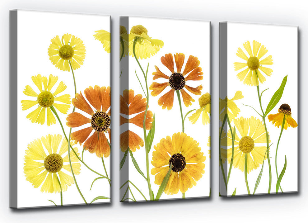 Ready2HangArt ''Helenium'' 3-Piece Canvas Wall Decor Set, 60"x40"