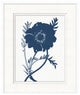 Navy Flower 1, Giclee Reproduction Artwork