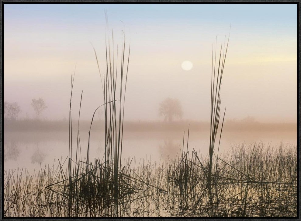 Reeds In Sweet Bay Pond, Everglades National Park, Florida, 32"x24"
