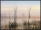 Reeds In Sweet Bay Pond, Everglades National Park, Florida, 32"x24"