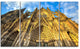 Dom Church in City Cologne Lit By Sun, Cityscape Canvas Print, 48"x28", 4 Panels