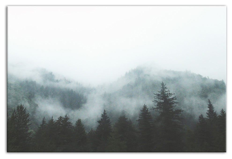 Foggy Evergreen Mountain Range 24x36 Canvas Wall Art
