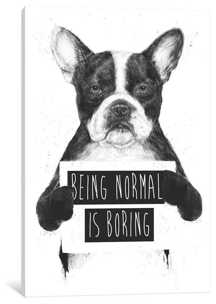 "Being Normal Is Boring" by Balazs Solti, 18x12x1.5"