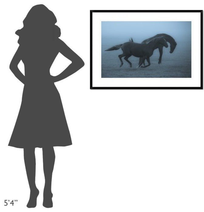 "Horses In The Fog" Framed Digital Print by Allan Wallberg, 38"x26"