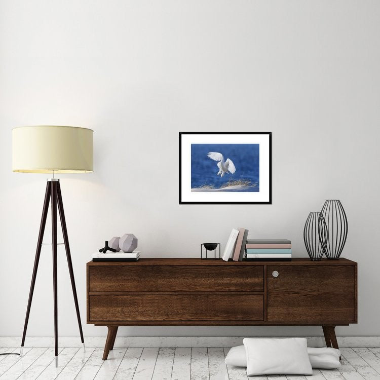 "White Spirit Demon" Framed Digital Print by Wei Tang, 30x23"