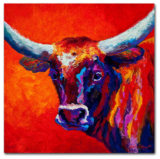 Marion Rose 'Steer' Canvas Art, 24" x 24"