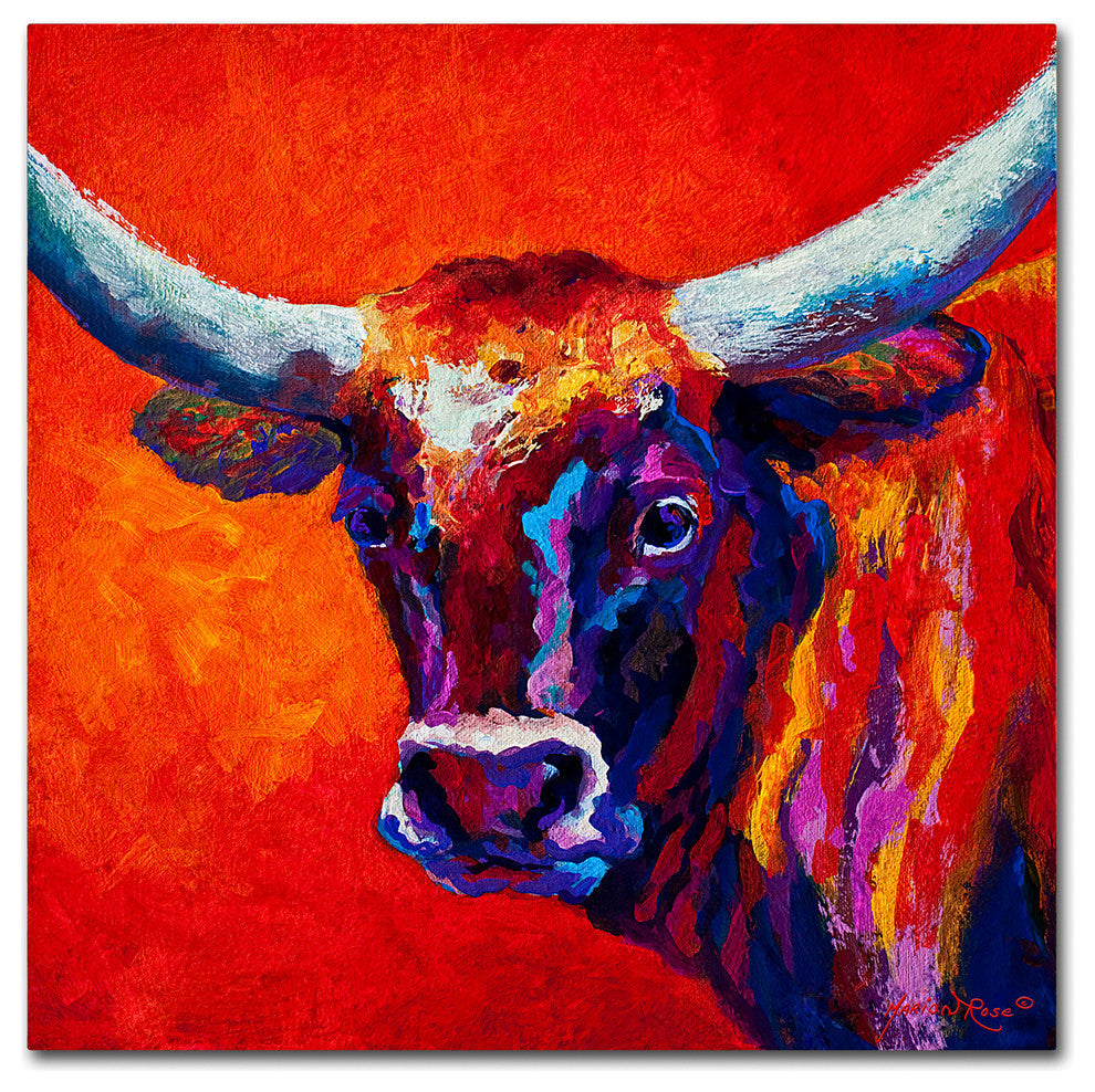 Marion Rose 'Steer' Canvas Art, 24" x 24"