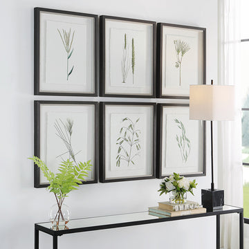 Uttermost Forest Finds Framed Prints, Set of 6