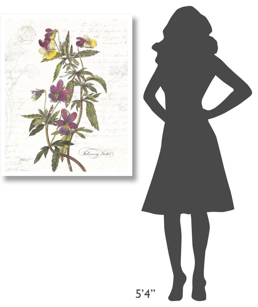 "February Violet on White" Digital Paper Print by Katie Pertiet, 30"x37"