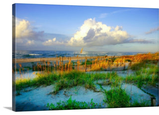 Dunes I Wrapped Canvas Art Print, 48"x32"x1.5"