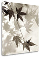 "Florison - 63" By Alan Blaustein, Giclee Print on Gallery Wrap Canvas