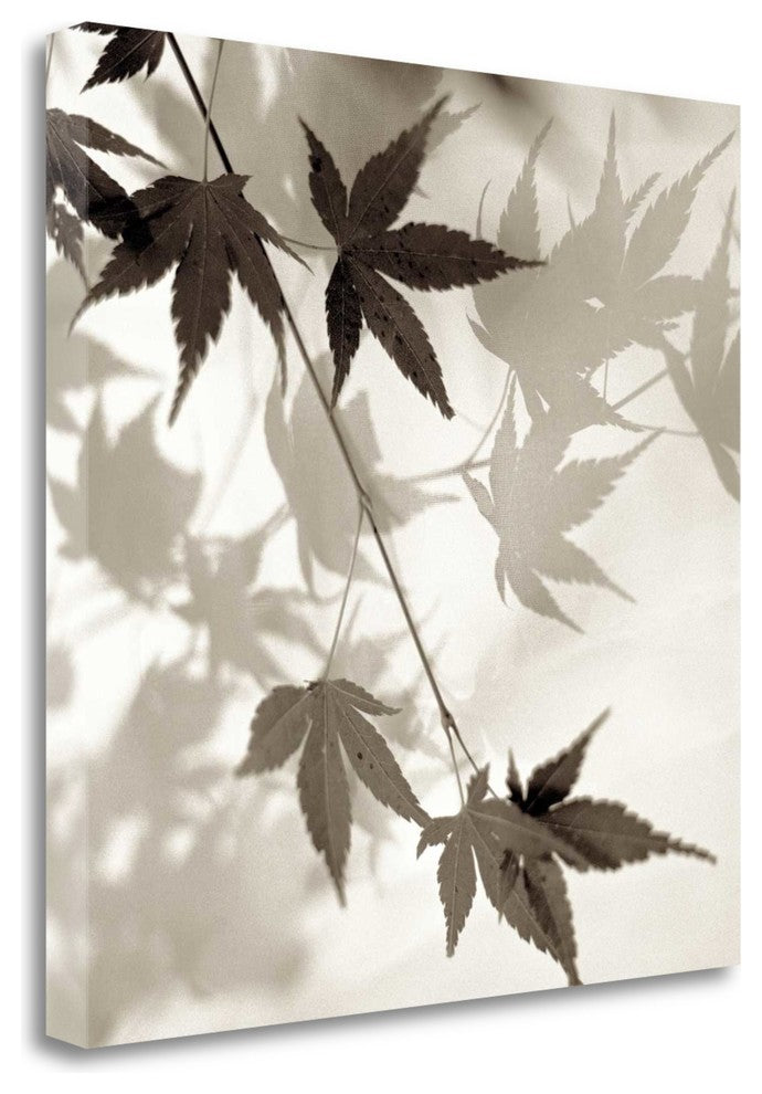 "Florison - 63" By Alan Blaustein, Giclee Print on Gallery Wrap Canvas
