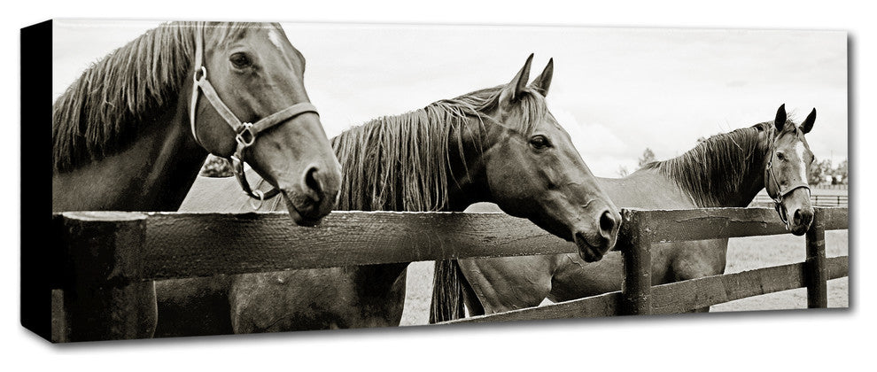 'Briland Three' Canvas Art by Preston