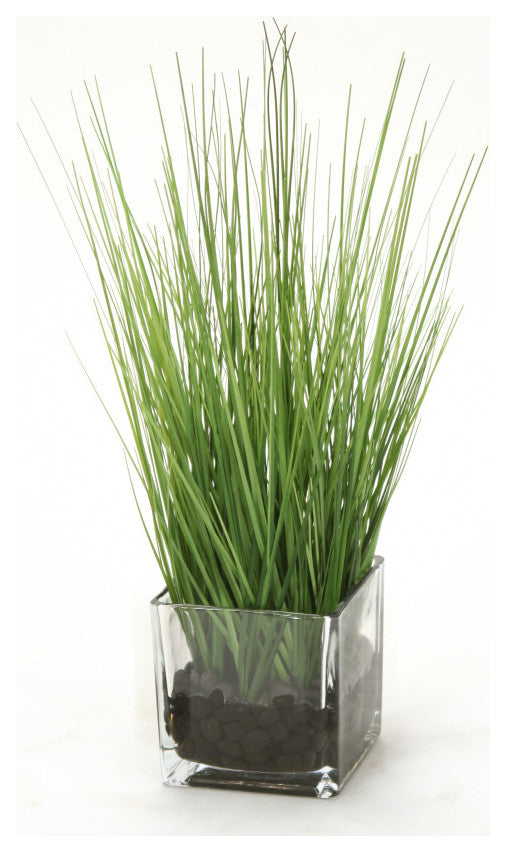 WaterlookÂ® Two Tone Green Grass in Square Glass Cube