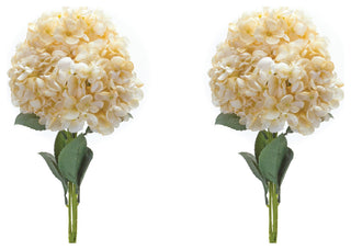 Shows the full set of two hydrangea stems on a white background, front-facing and unobstructed.
