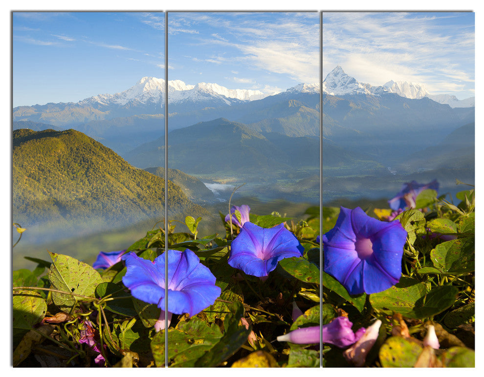 Stunning Mountain Terrain with Flowers, Landscape Canvas Print, 36x28, 3 Panels