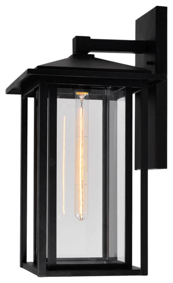Outdoor Wall Light, Black With Clear Glass, 22"