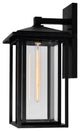 Outdoor Wall Light, Black With Clear Glass, 22"