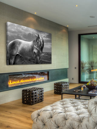 "Back to Your Roots" Print on Canvas by Maggie Dee