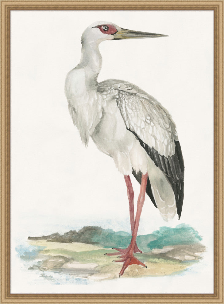 Waterbird 1, Giclee Reproduction Artwork