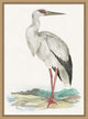 Waterbird 1, Giclee Reproduction Artwork
