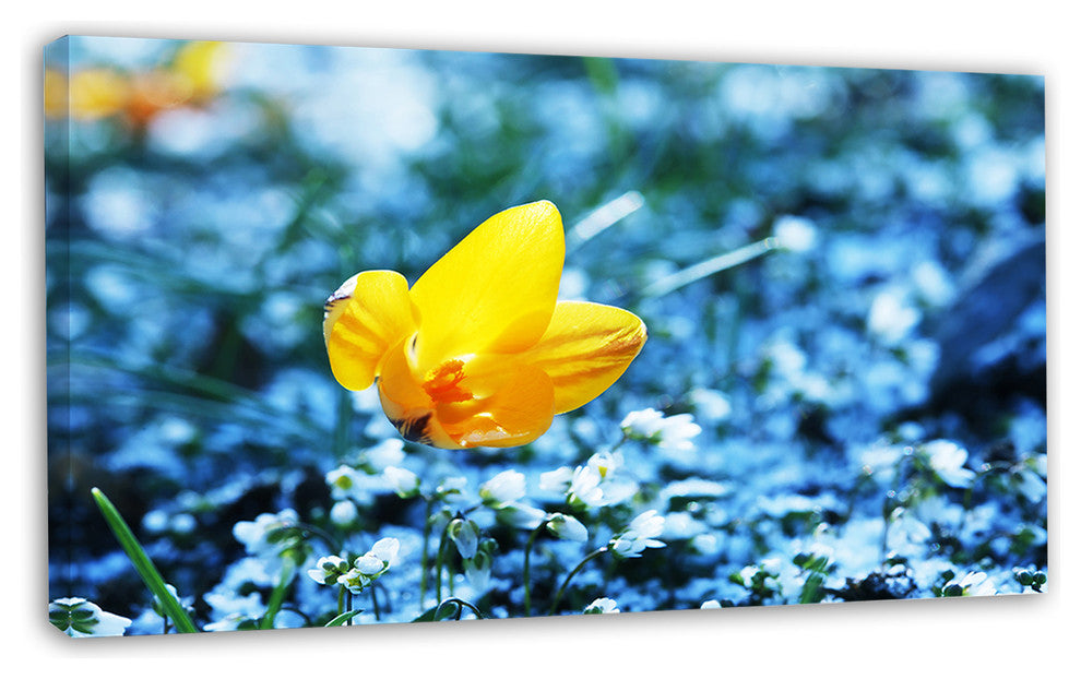 Solitary Yellow Flower on Blue, Floral Canvas Art Print, 32"x16"