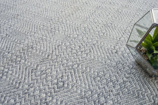 Echo Indoor/Outoor Flatwoven PET yarn Light Silver/Ivory Area Rug