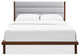 Mercury Upholstered Platform Bed, Exotic, Queen