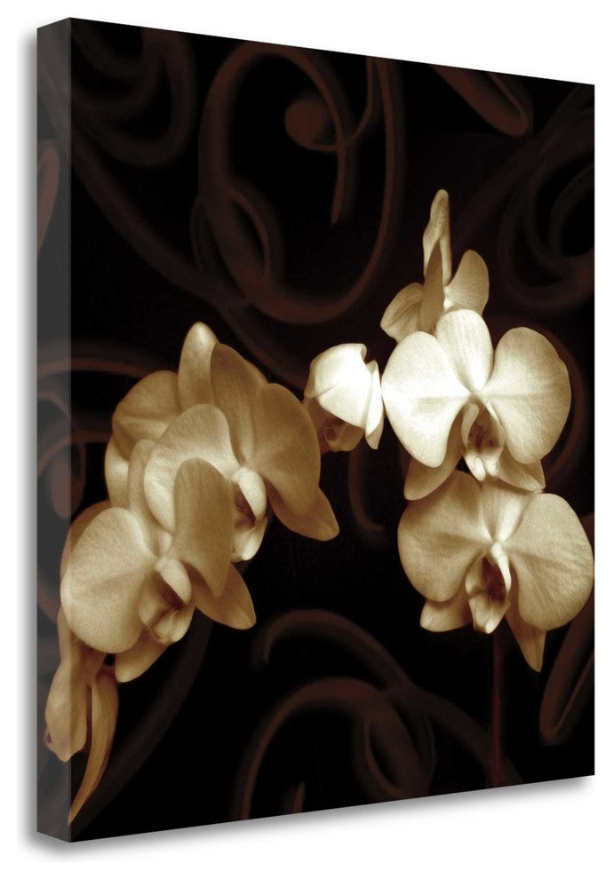"Elegance" By Ily Szilagyi, Giclee Print on Gallery Wrap Canvas, Ready to Hang