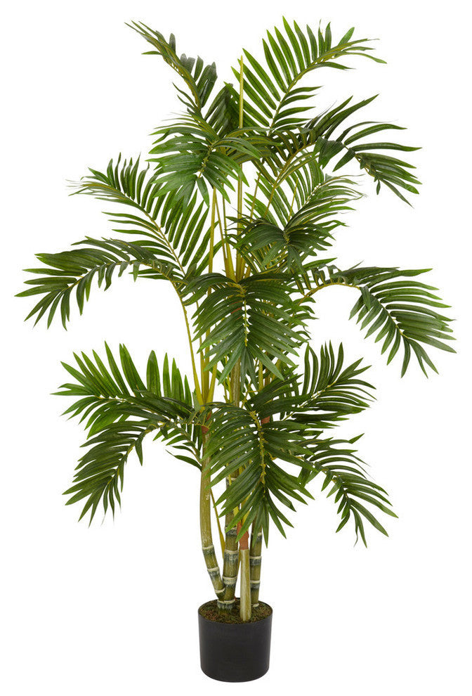 4' Areca Palm Silk Tree