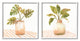 Tranquil Monstera Leaf Herbal Plant Vase Patterned Tabletop, 2pc, each 17 x 17